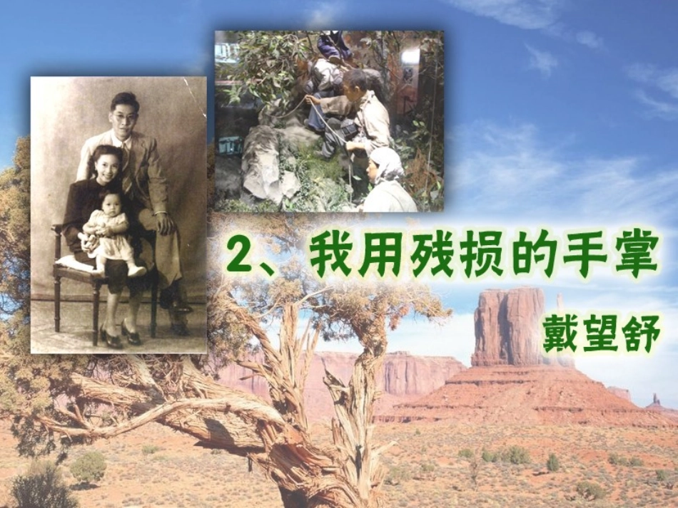 我用残损的手掌 (2)_第3页