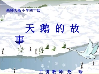 西师大版天鹅的故事PPT