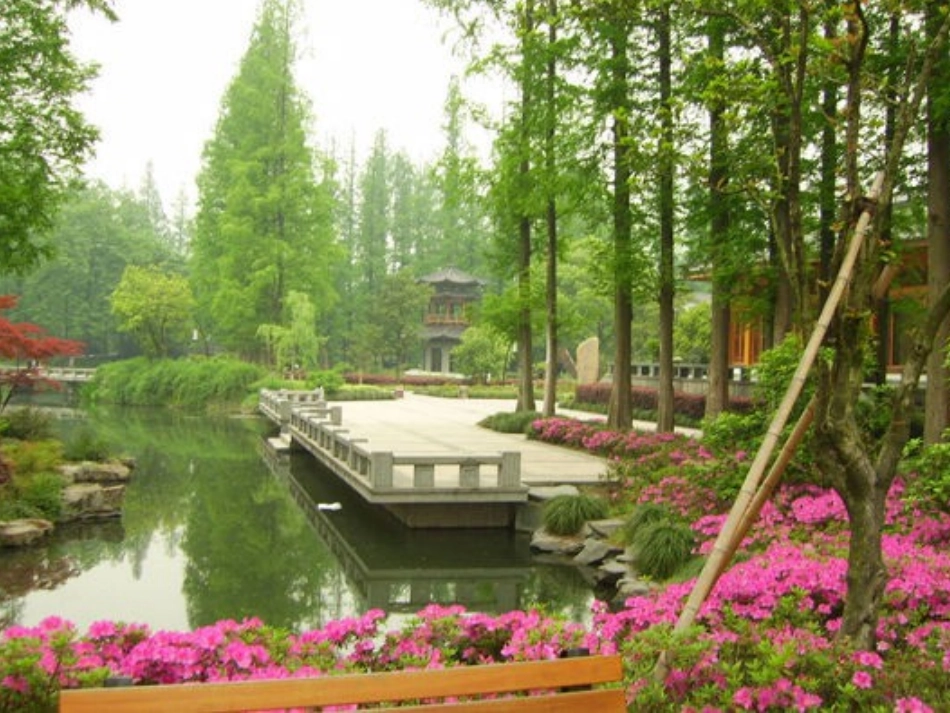 《咏柳》课件 (4)_第2页