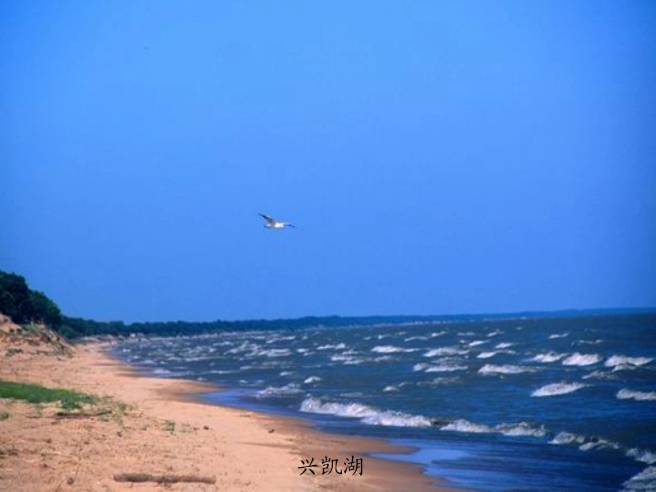 美丽的兴凯湖_第2页