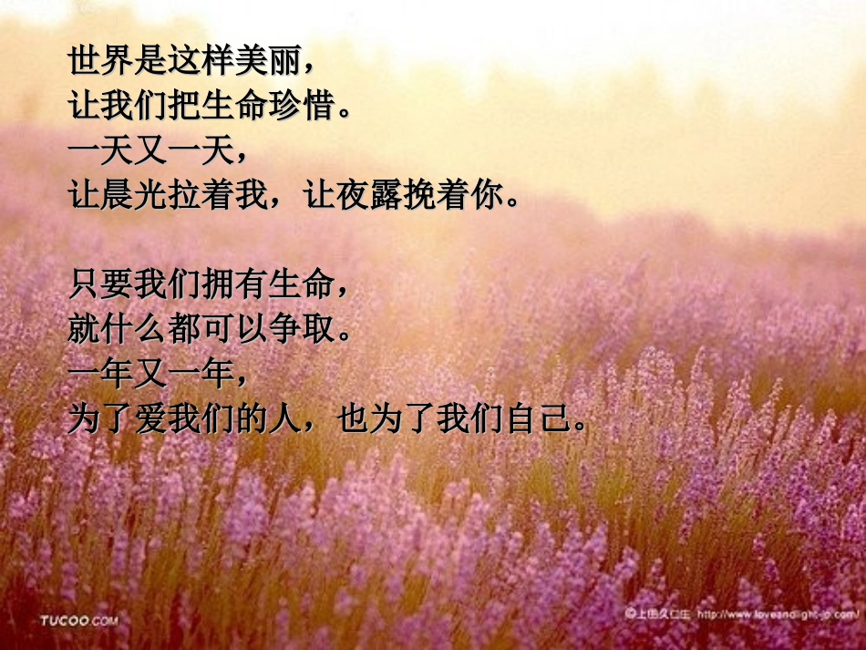 多彩的生命世界_课件_第1页