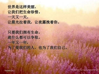 多彩的生命世界_课件
