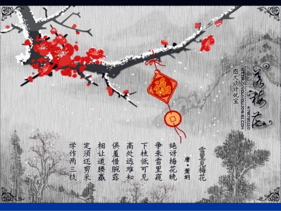 相貌各异的我们六年级上册_第1页