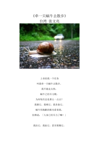 牵一只蜗牛去散步——致教师