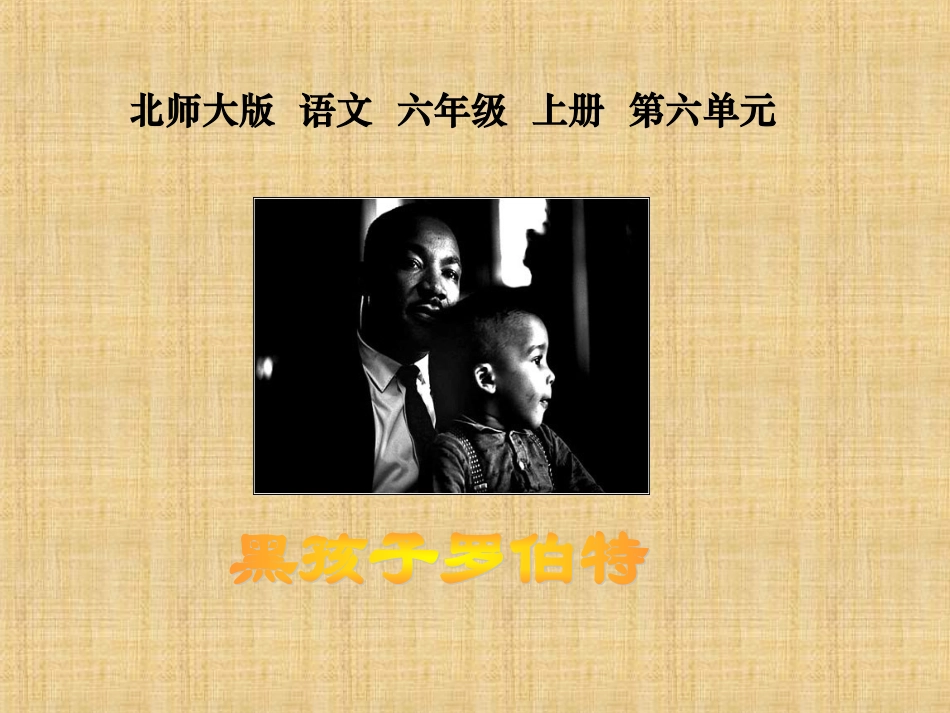 北师大版六年级语文上册《黑孩子罗伯特》公开课课件_第1页