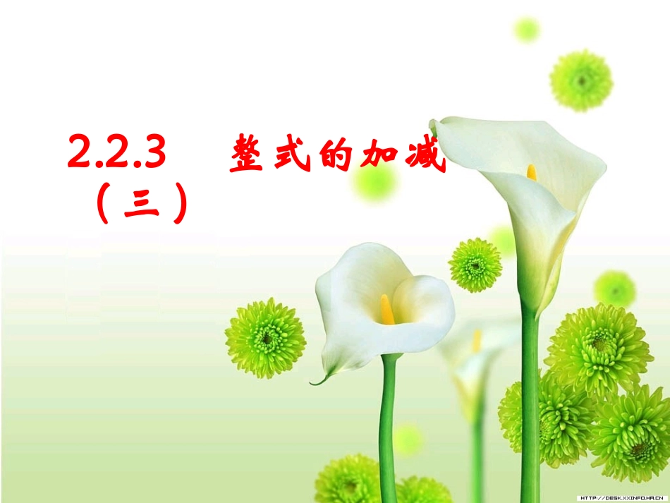 古瓶荷花——整式的加减_第1页