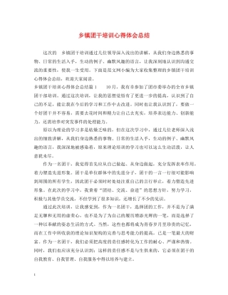 乡镇团干培训心得体会总结 