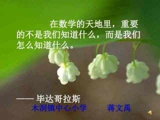 西师大版数学六年级上册《图形的放大与缩小》PPT课件