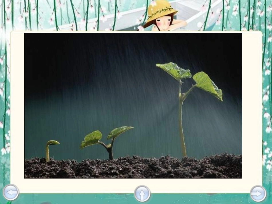 春天的小雨滴滴滴_第2页