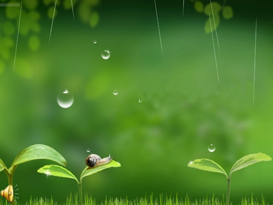 春天的小雨滴滴滴_第3页