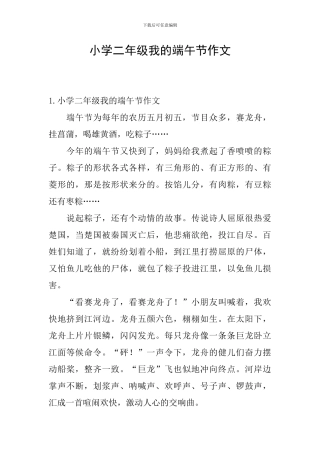 小学二年级我的端午节作文
