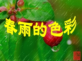 《春雨的色彩》课件4