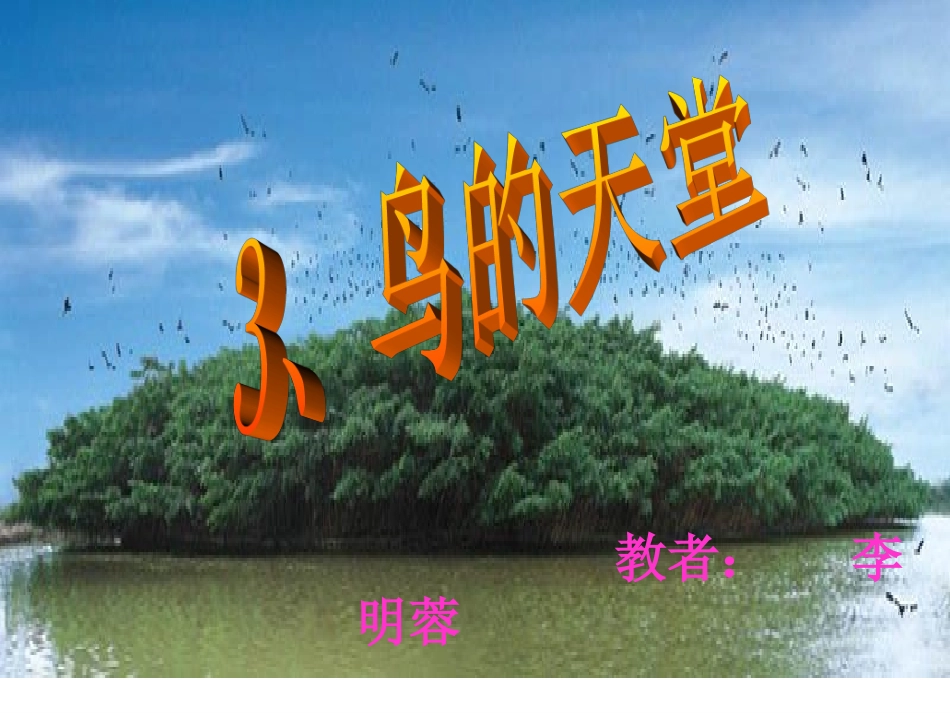 《鸟的天堂》_第1页