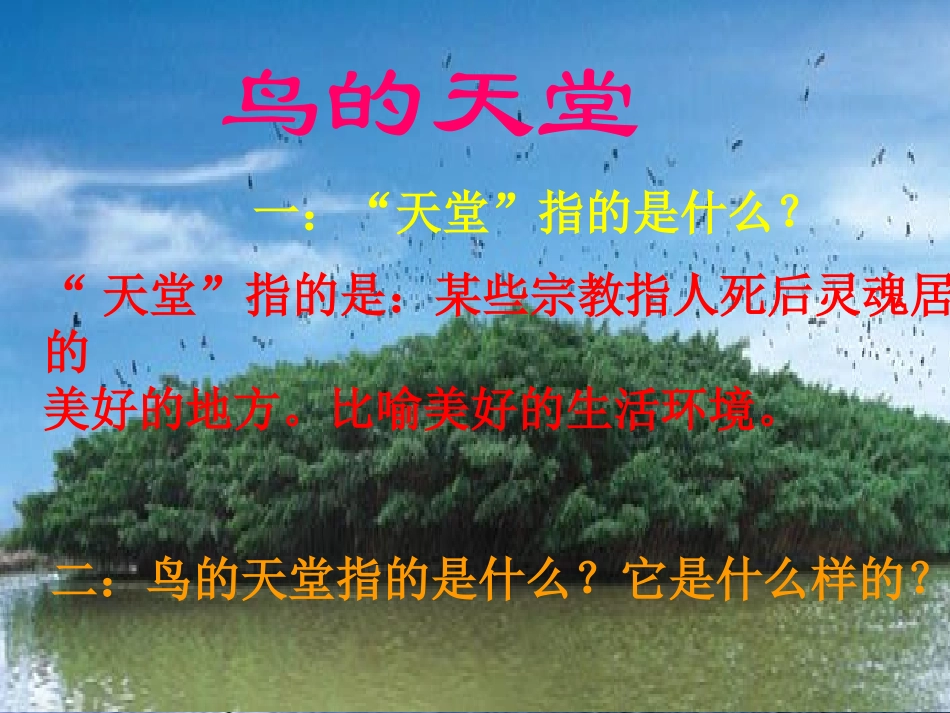 《鸟的天堂》_第2页