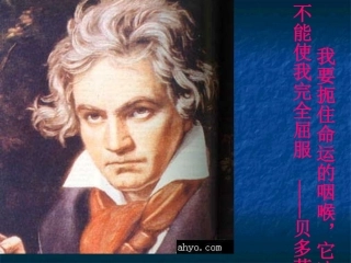 音乐巨人贝多芬 (3)