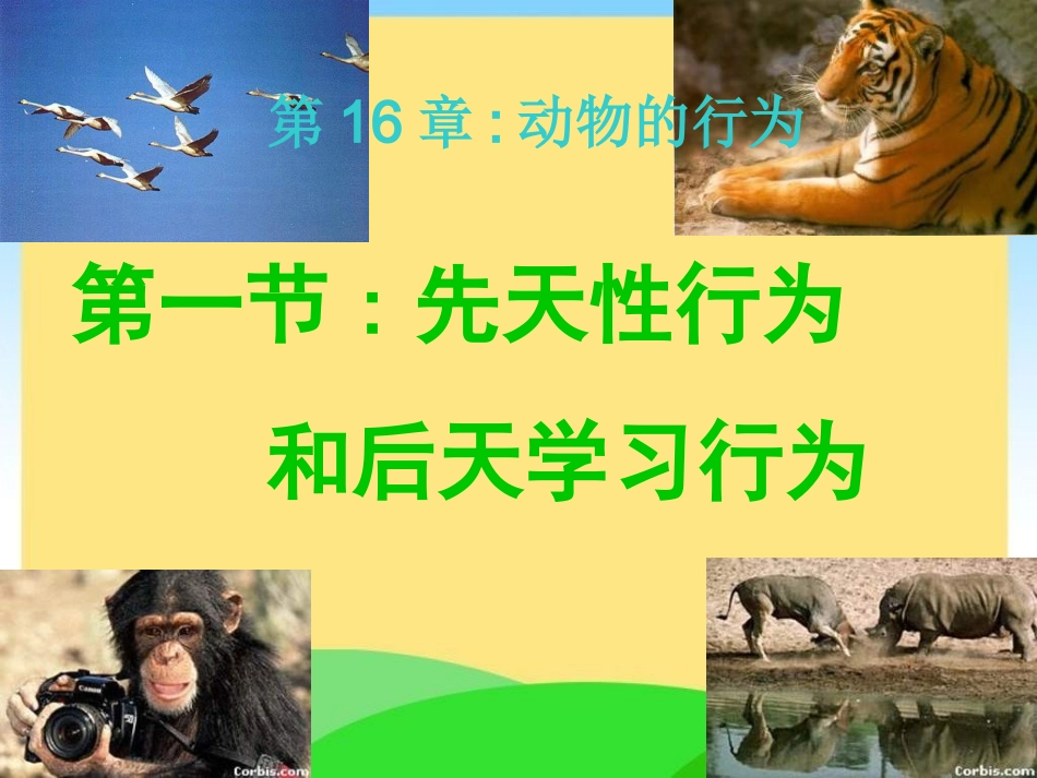 先天性行为和后天学习行为_第1页