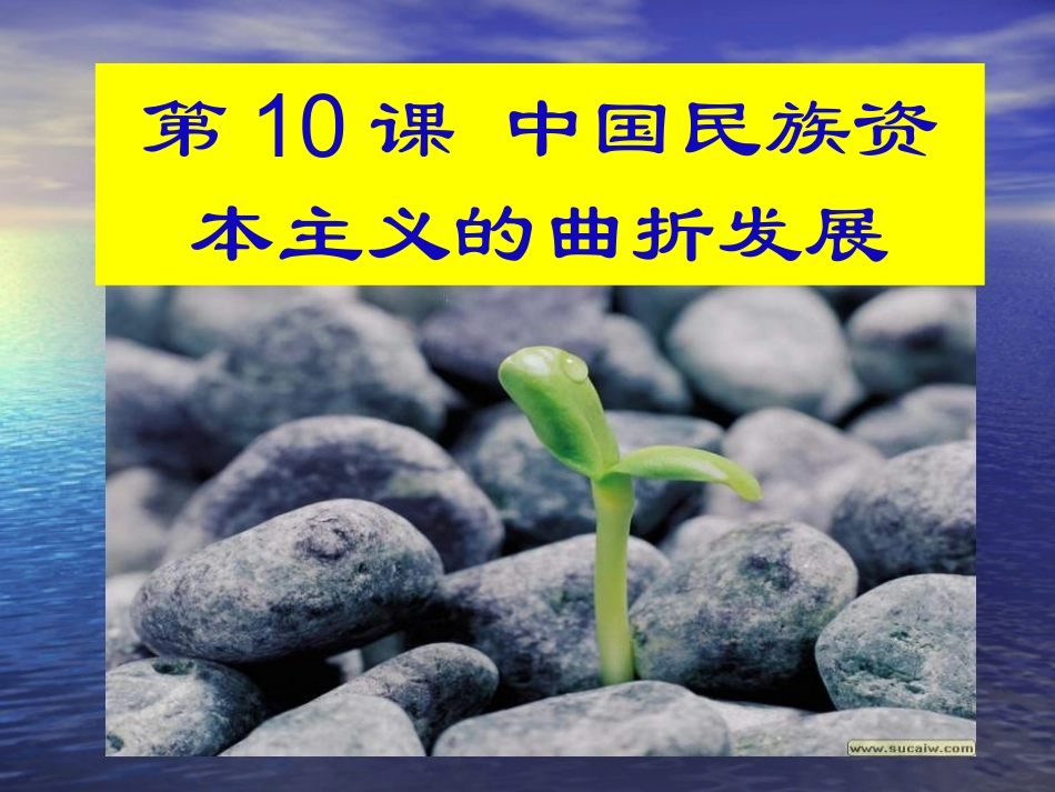 【历史】310《中国民族资本主义的曲折发展》课件（2）（新人教版必修2）_第3页
