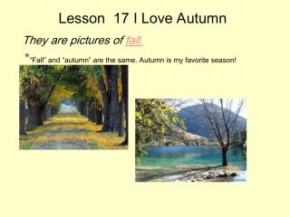 冀教版英语八年级Lesson17ILoveAutumn