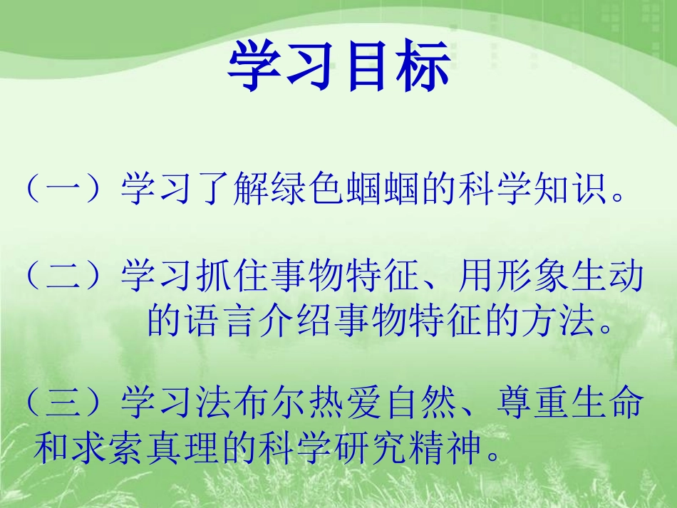 《绿色蝈蝈》教学课件_第3页