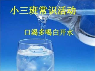 小三班常识活动：《口渴多喝白开水》