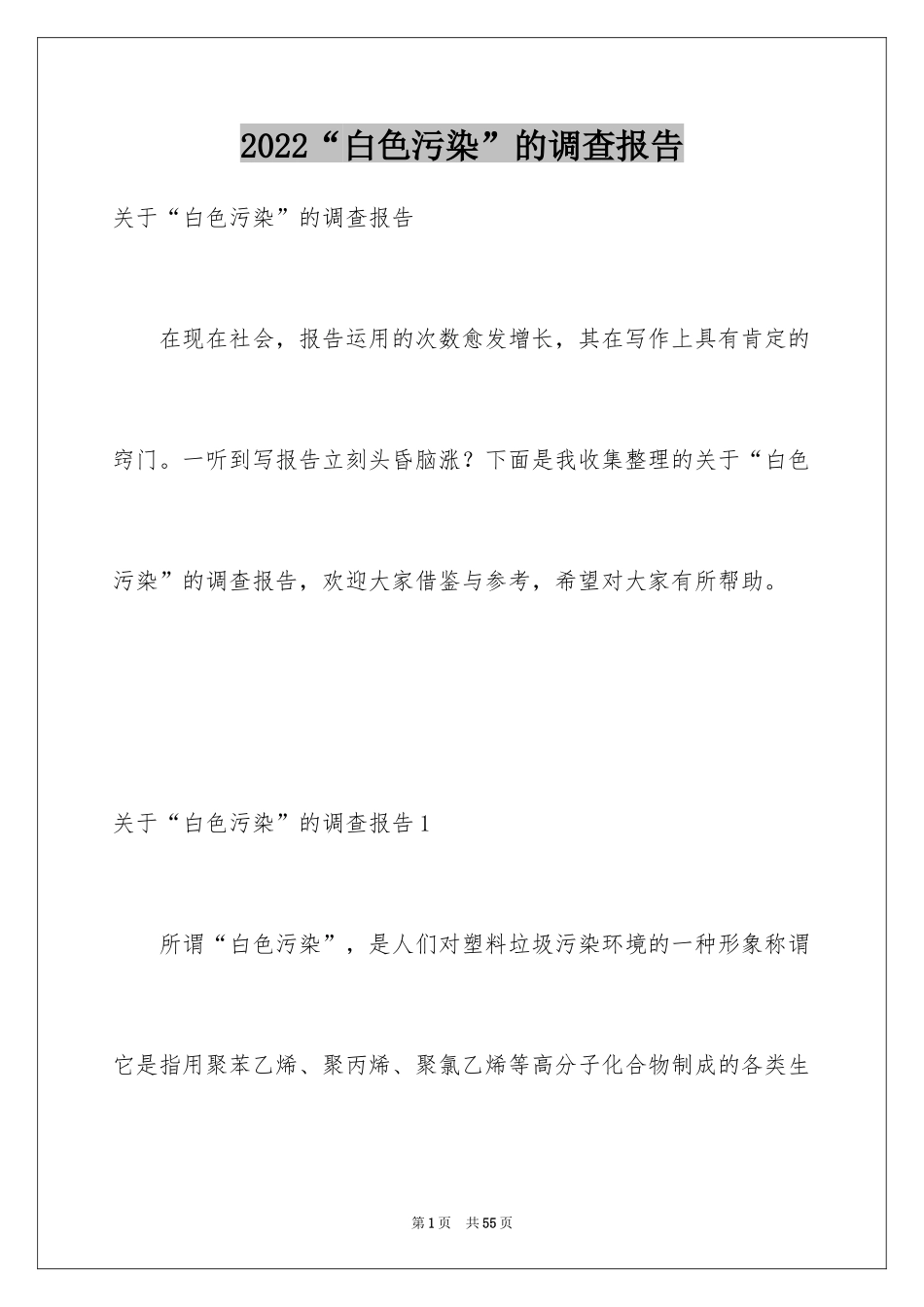 2024“白色污染”的调查报告_第1页