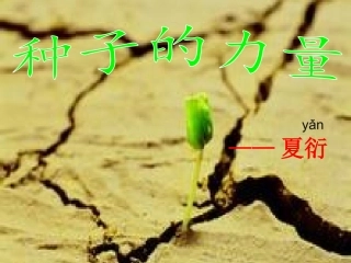 种子的力量展示课