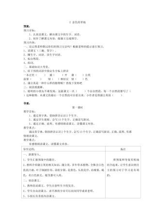 金色的草地教案