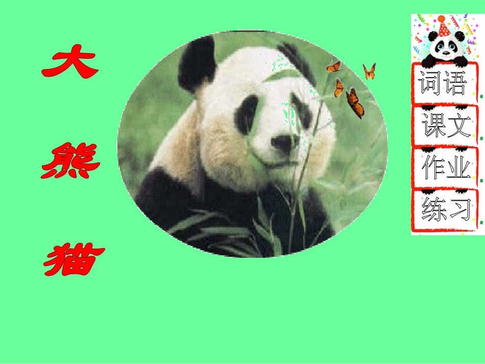 《大熊猫》教学课件_第1页