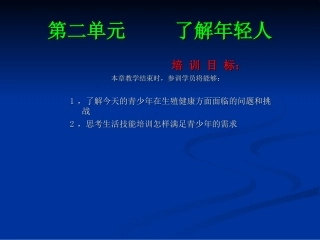 了解年轻人课件