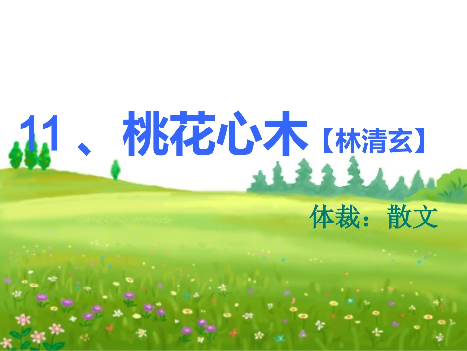 《桃花心木》课件_第1页