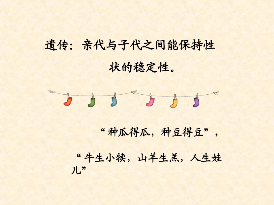 【生物】11孟德尔的豌豆杂交实验（一）课件2（人教版必修2）_第2页