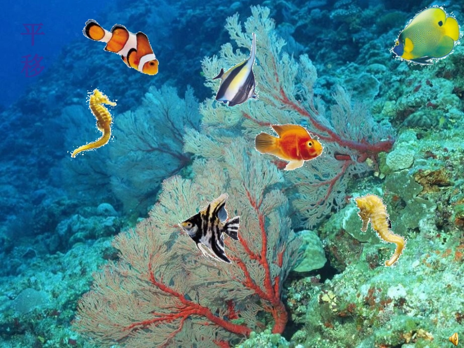 二年级数学平移和旋转课件_第1页