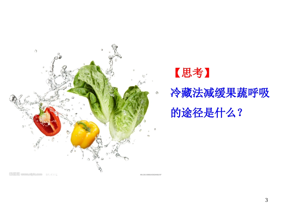 人教版必修1第5章第3节第2课时+细胞呼吸影响因素及相关曲线（共39张PPT）_第3页