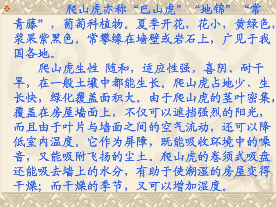 人教版《爬山虎的脚》PPT_第1页