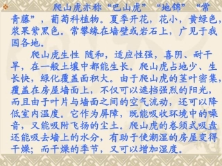 人教版《爬山虎的脚》PPT