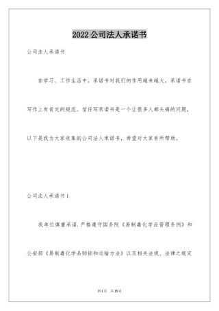 2024公司法人承诺书_2