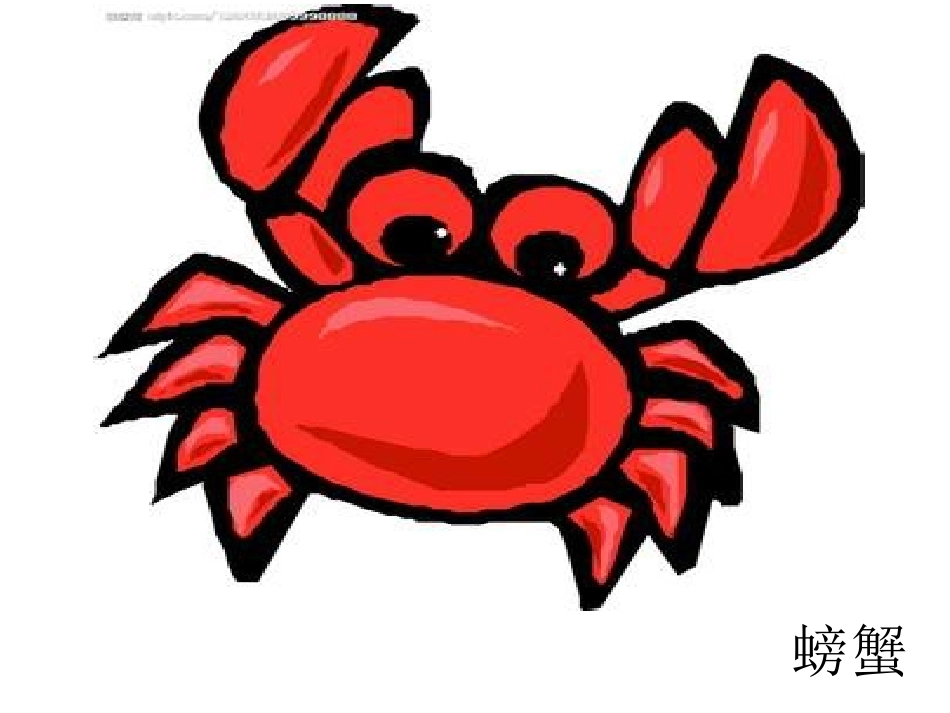 没有尾巴的动物PPT_第2页