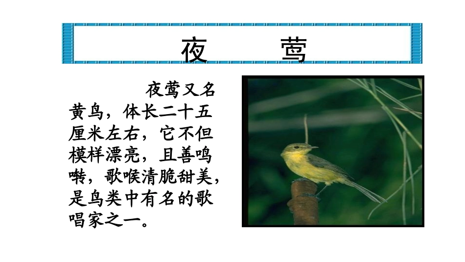 黑孩子罗伯特课件1[1]_第2页