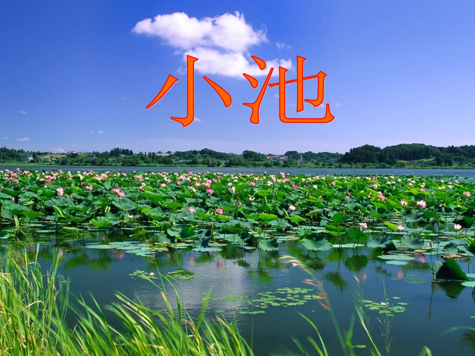 《古诗小池》教学课件_第1页