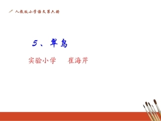 小学三年级语文《翠鸟》课件