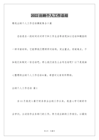 2024出纳个人工作总结_44