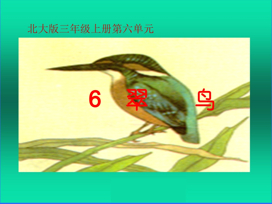 翠鸟课件[1]_第1页