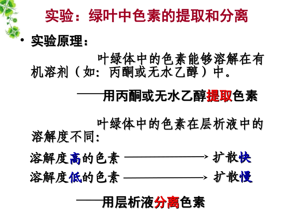一轮_B154_光合作用_第2页