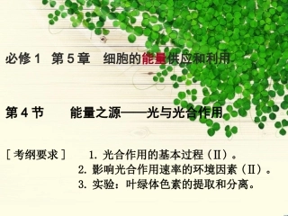 一轮_B154_光合作用
