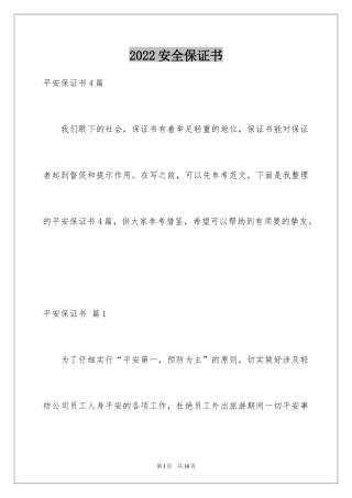 2024安全保证书_324