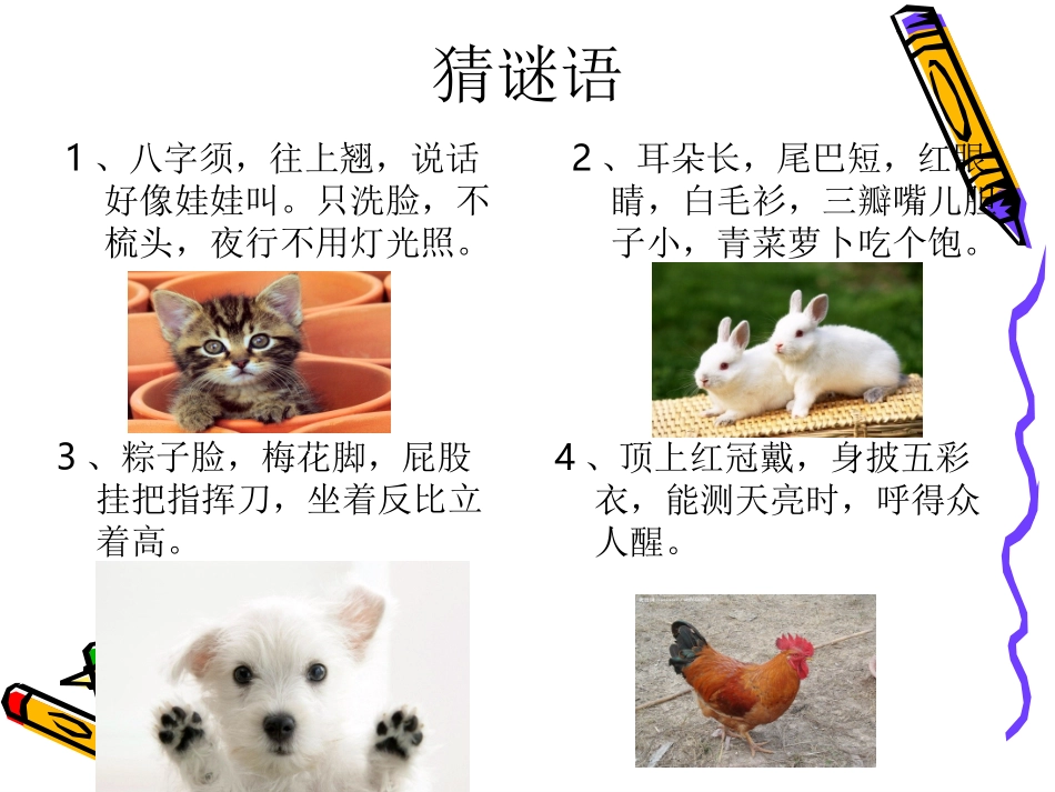 我喜欢的小动物作文教案_第1页