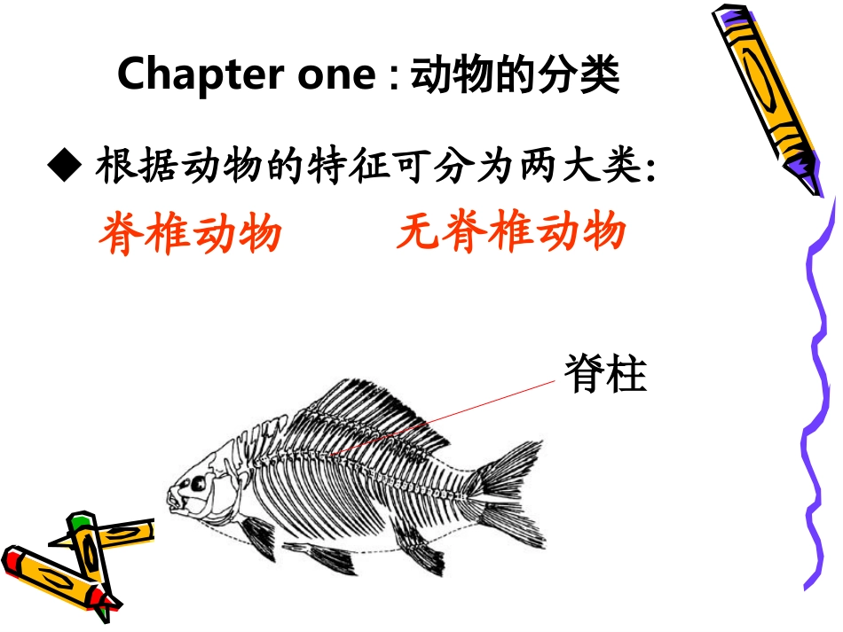 八年级上册生物第五单元1-3章复习_第2页