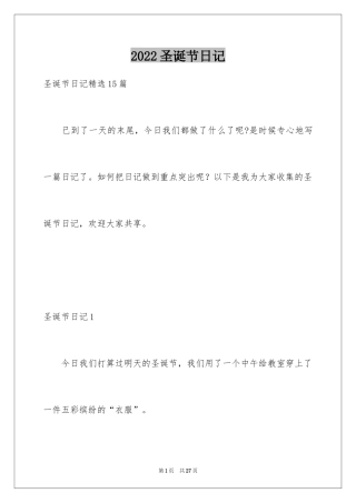 2024圣诞节日记_59