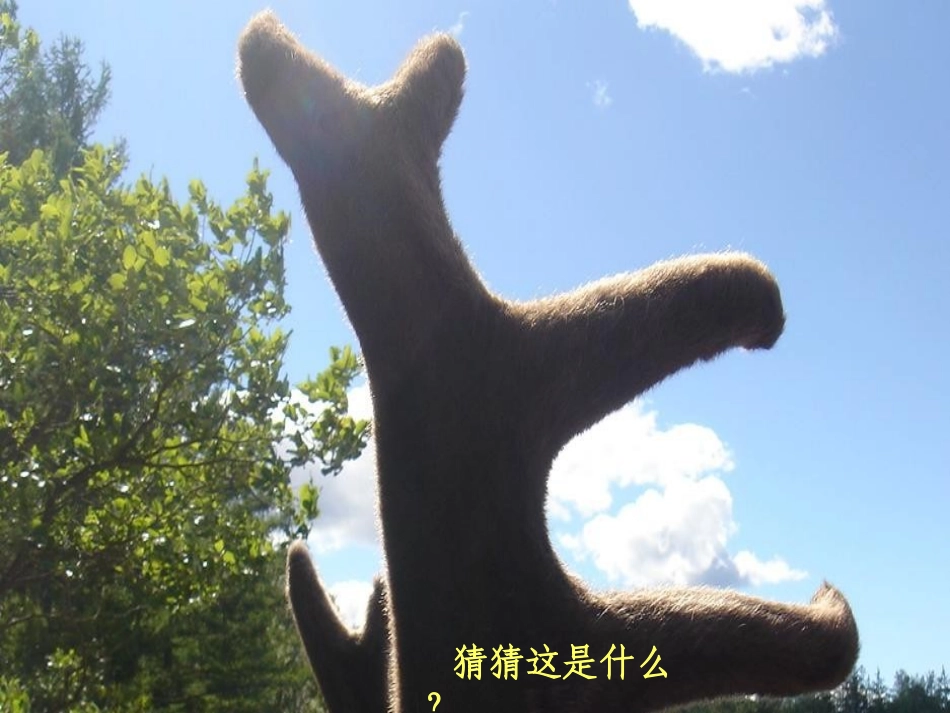 下节日礼物课件_第1页