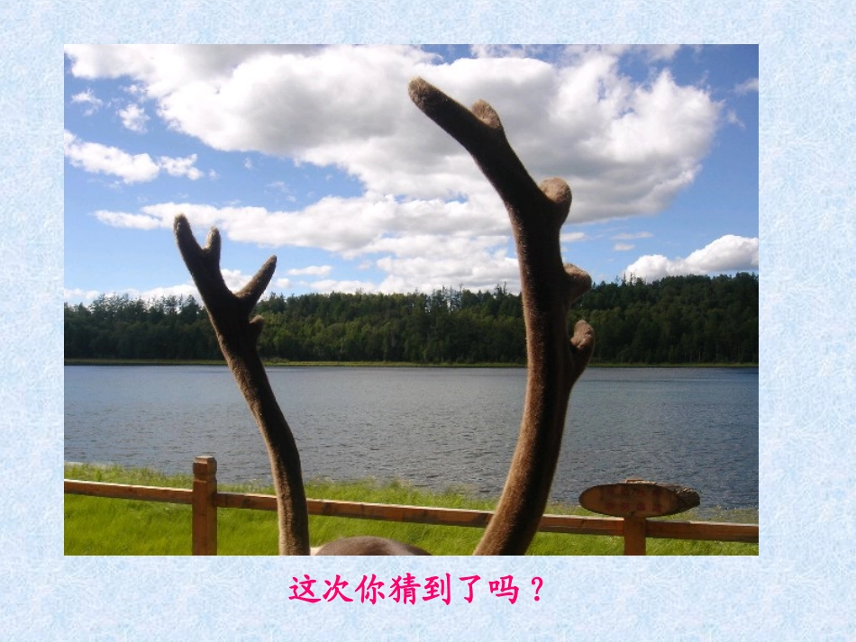 下节日礼物课件_第2页